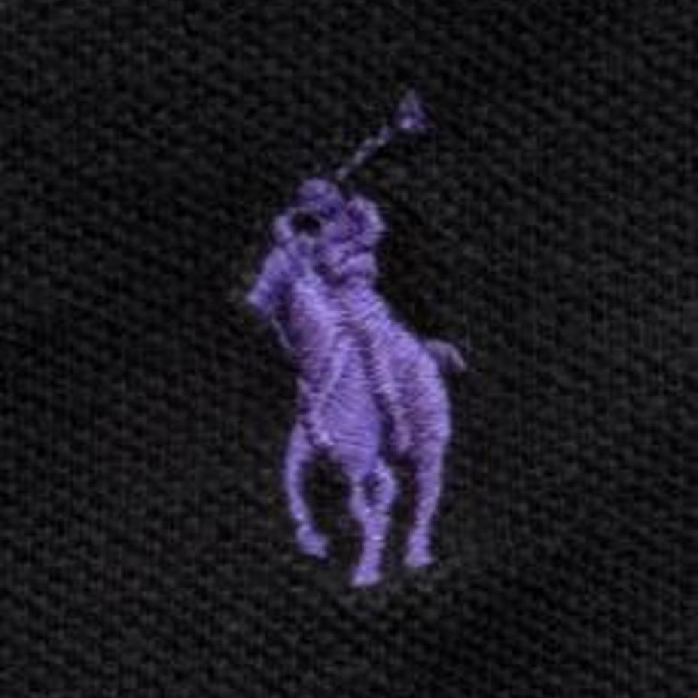 Polo Ralph Lauren Mens Classic Fit Polo Shirt Black Purple Pony Large